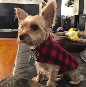 Meet your Posher, Andy